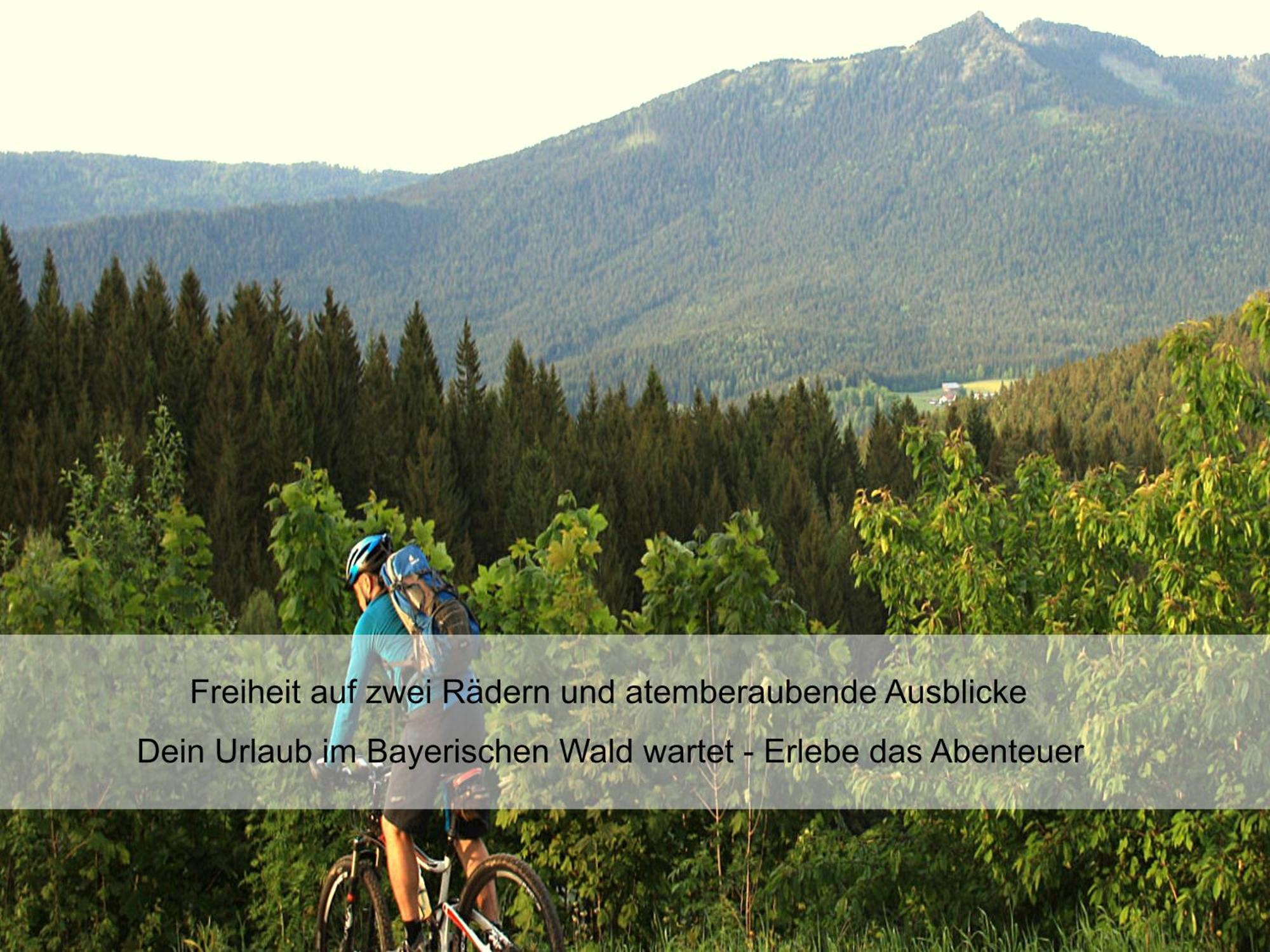 לוהברג Garnihotel Zur Linde - Bayerischer Wald - Aktivcard Mit 154 Kostenfreien Leistungen - Kostenloser Parkplatz מראה חיצוני תמונה